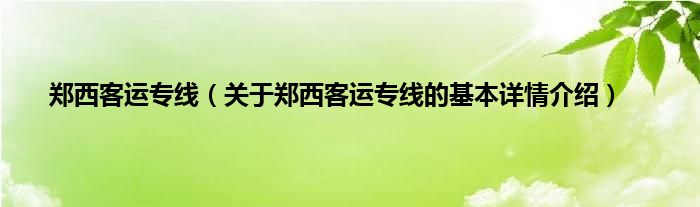 郑西客运专线（关于郑西客运专线的基本详情介绍）