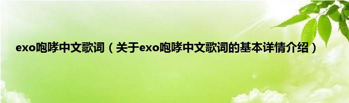 exo咆哮中文歌词（关于exo咆哮中文歌词的基本详情介绍）