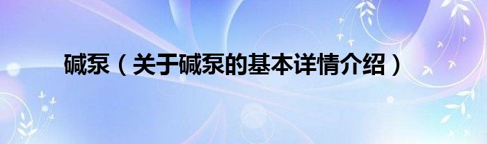 碱泵（关于碱泵的基本详情介绍）