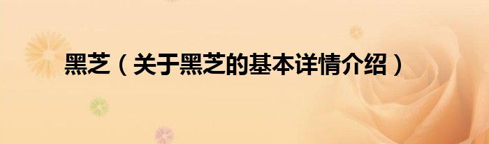 黑芝（关于黑芝的基本详情介绍）